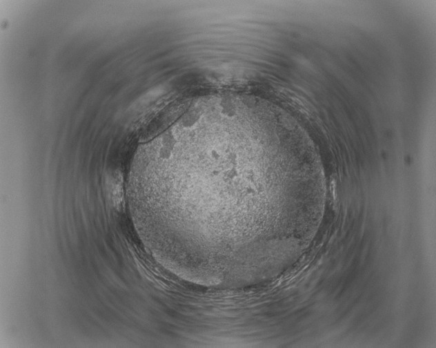 X0000064740963200602171703