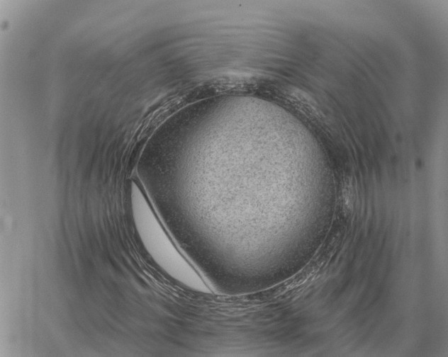 X0000064740964200602171703