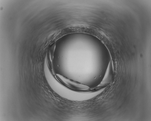 X0000064740965200602171703