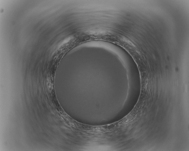 X0000064740966200602171703