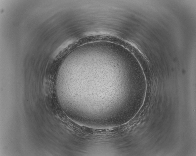 X0000064740967200602171703