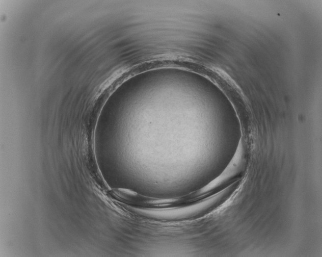 X0000064740969200602171703