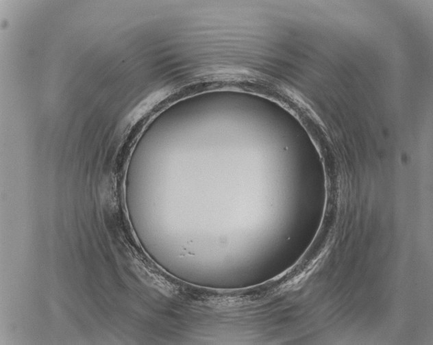 X0000064740970200602171703