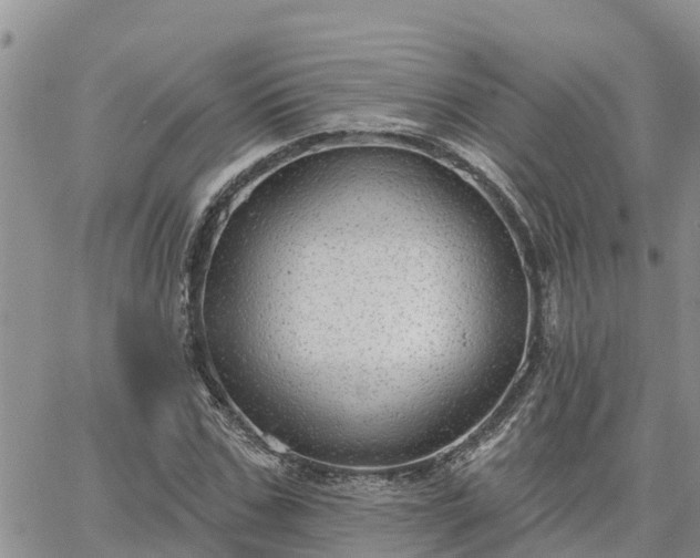 X0000064740971200602171703