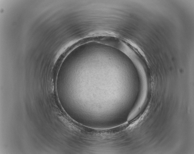 X0000064740973200602171703