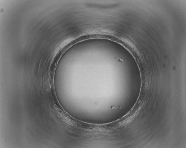 X0000064740974200602171703