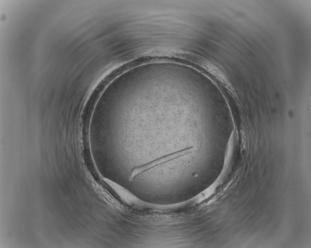 X0000064740976200602171703