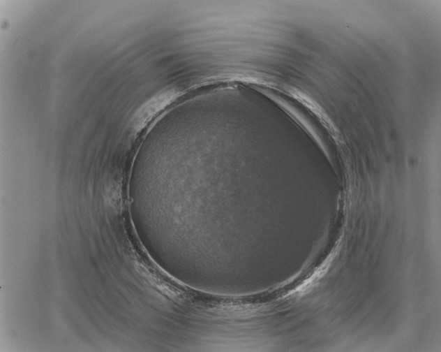 X0000064740977200602171703