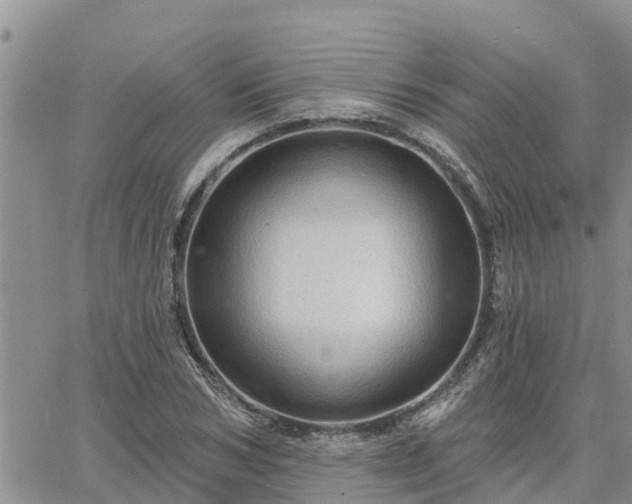 X0000064740978200602171703