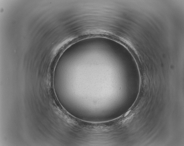 X0000064740979200602171703