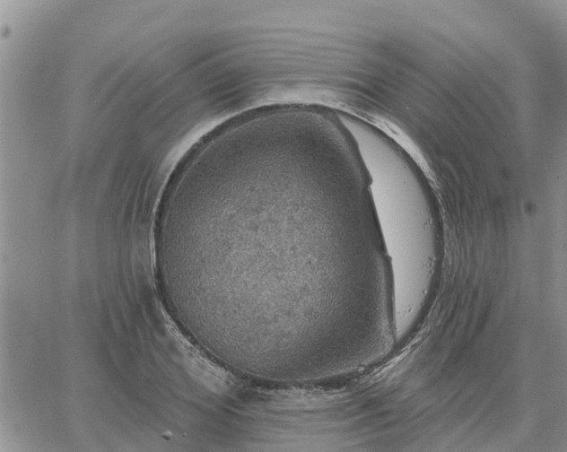 X0000064740980200602171703