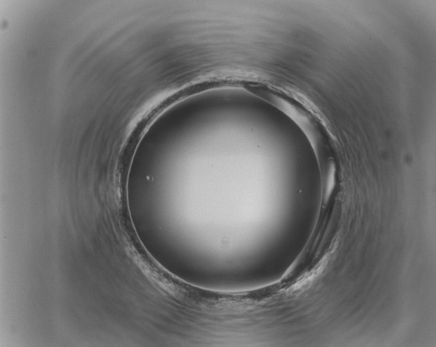 X0000064740981200602171703