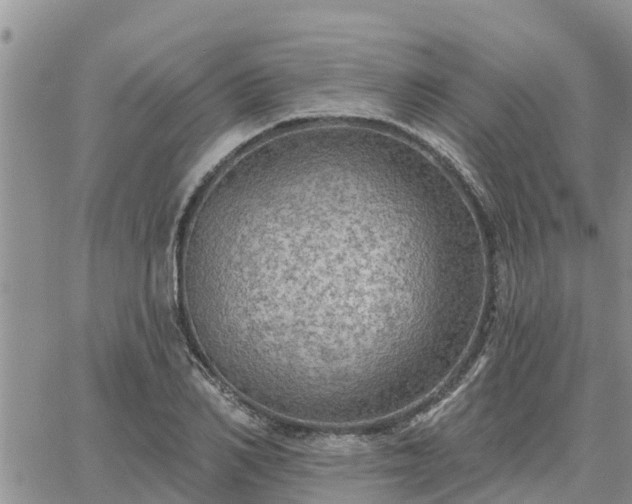 X0000064740982200602171703