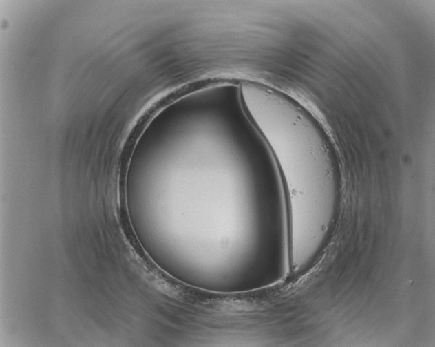 X0000064740984200602171703