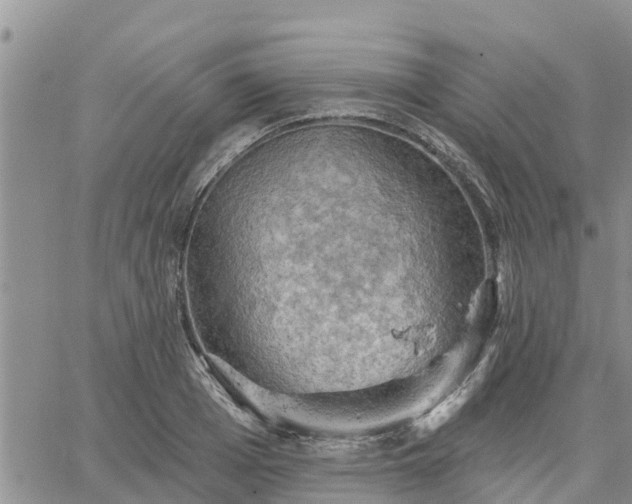 X0000064740985200602171703