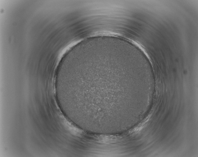 X0000064740987200602171703