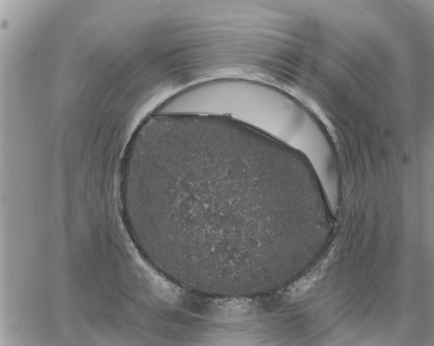 X0000064740991200602171702