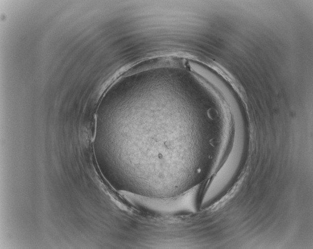 X0000064740993200602171702