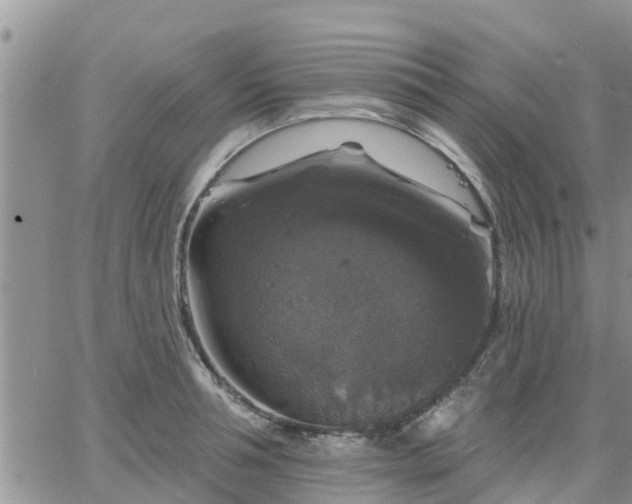 X0000064740994200602171702