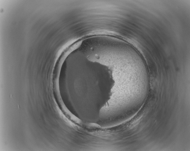 X0000064740995200602171702