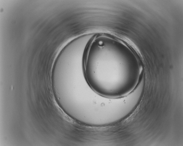 X0000064740996200602171702