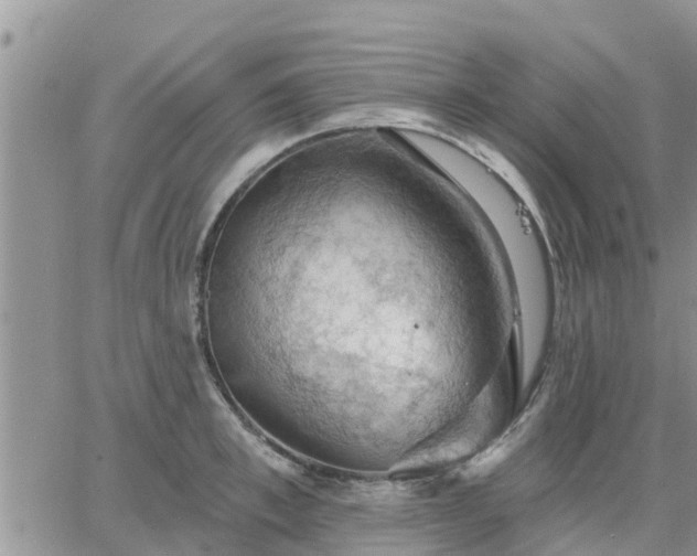 X0000064740997200602171702