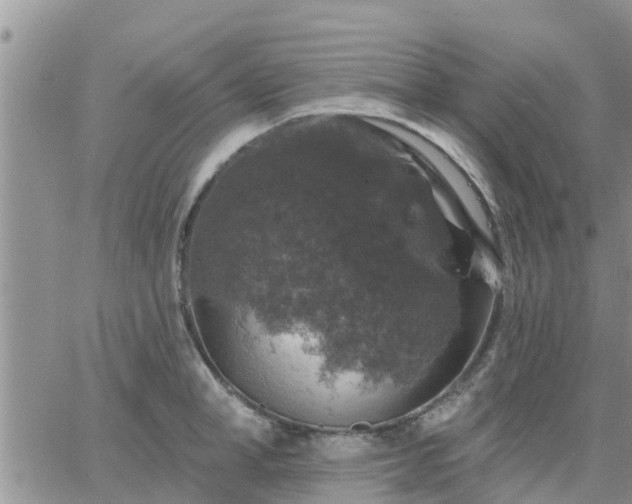 X0000064740998200602171702