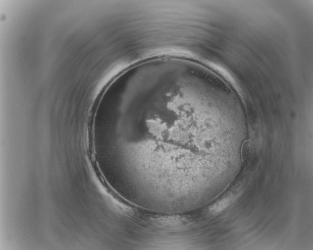 X0000064740999200602171702