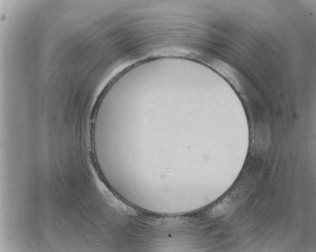 X0000064741000200602171702