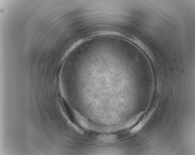 X0000064741001200602171702