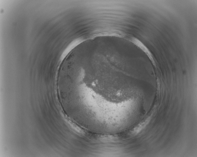 X0000064741002200602171702