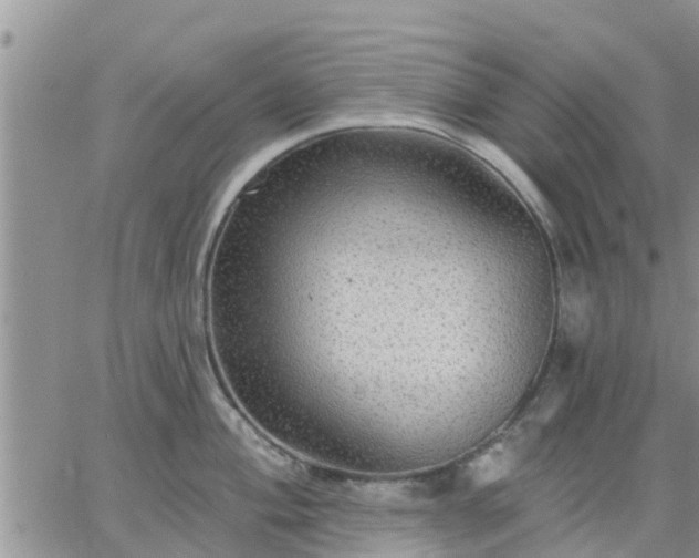 X0000064741004200602171702