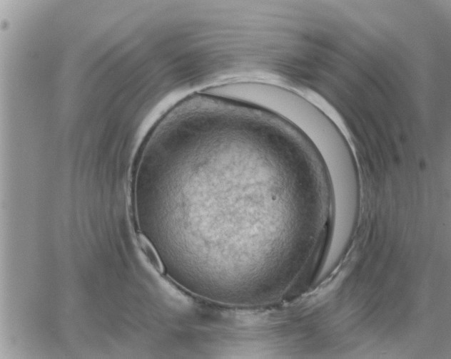 X0000064741005200602171702