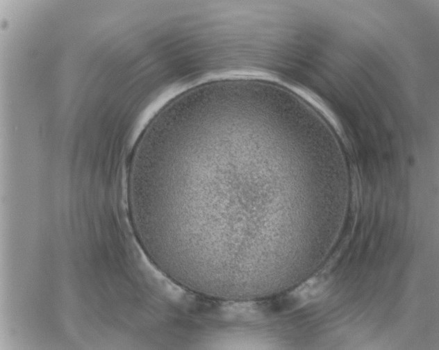 X0000064741006200602171702