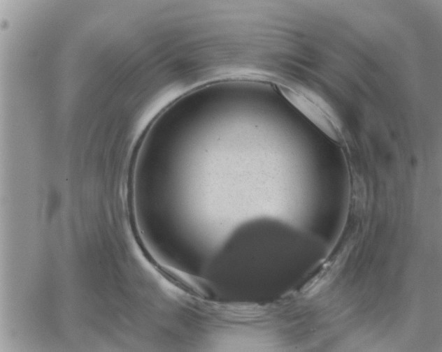 X0000064741007200602171702