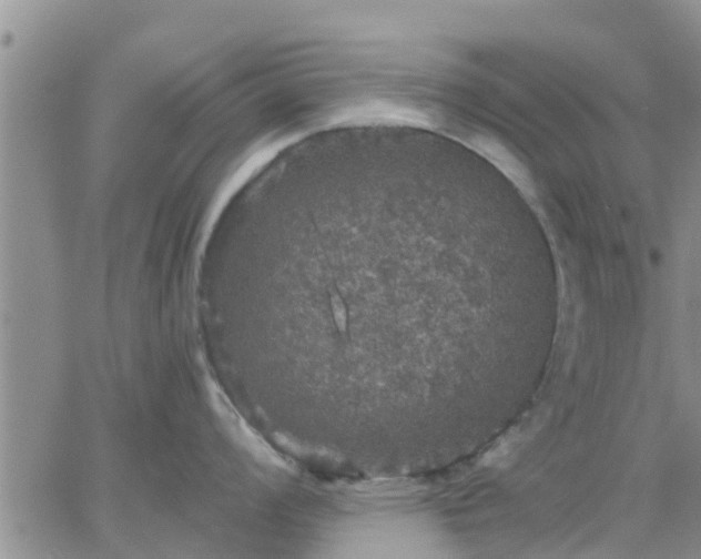 X0000064741008200602171702