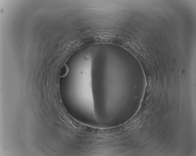 X0000064741009200602171701