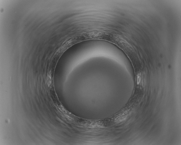 X0000064741011200602171701