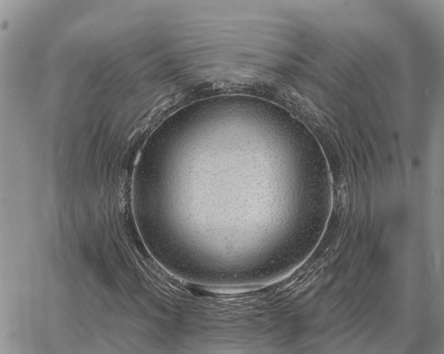 X0000064741012200602171701