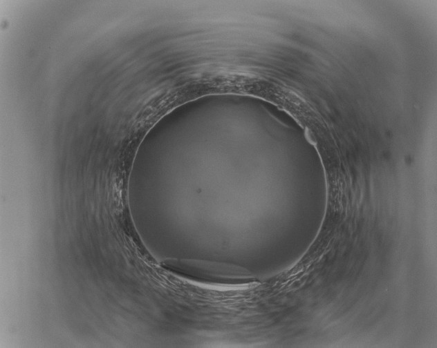 X0000064741013200602171701