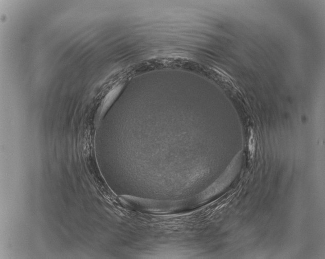 X0000064741014200602171701