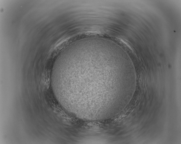 X0000064741015200602171701