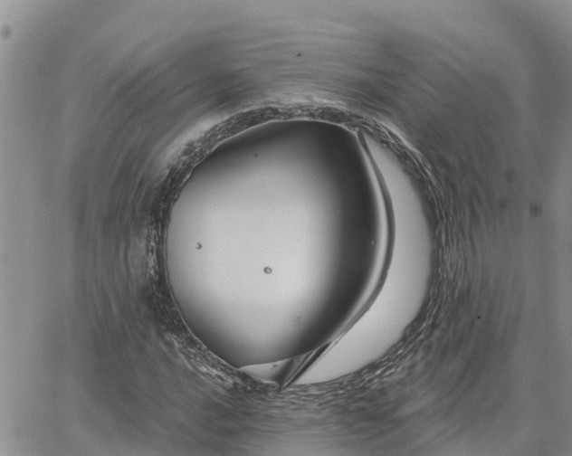 X0000064741016200602171701