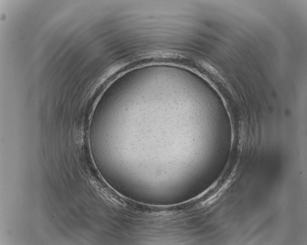 X0000064741017200602171701