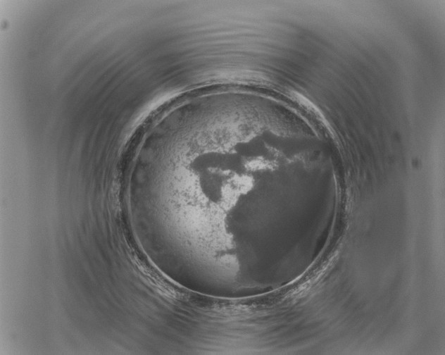 X0000064741019200602171702