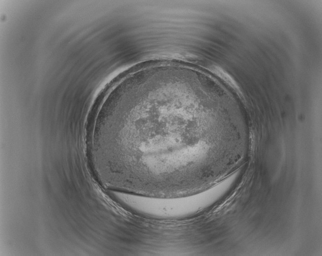 X0000064741020200602171702