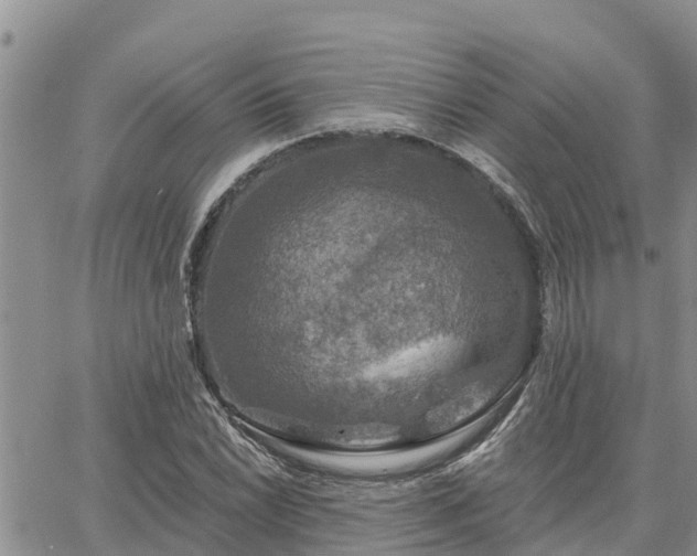 X0000064741022200602171702