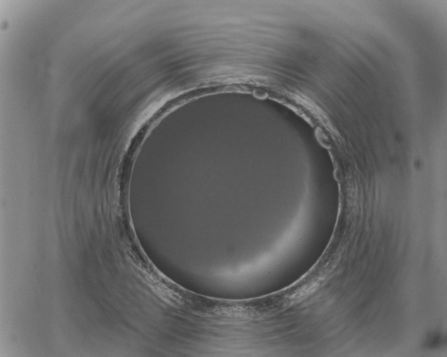 X0000064741023200602171702