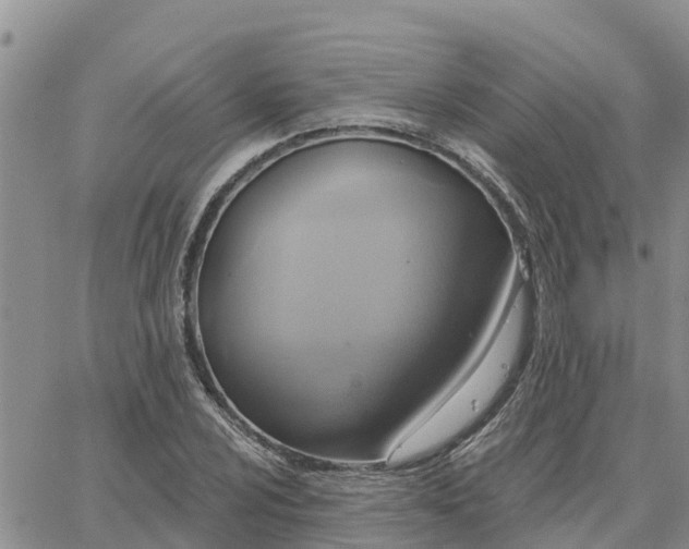 X0000064741024200602171702