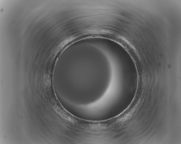 X0000064741025200602171702